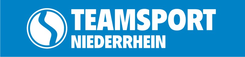 Teamsport Trikot CHAMP 2.0 Logo