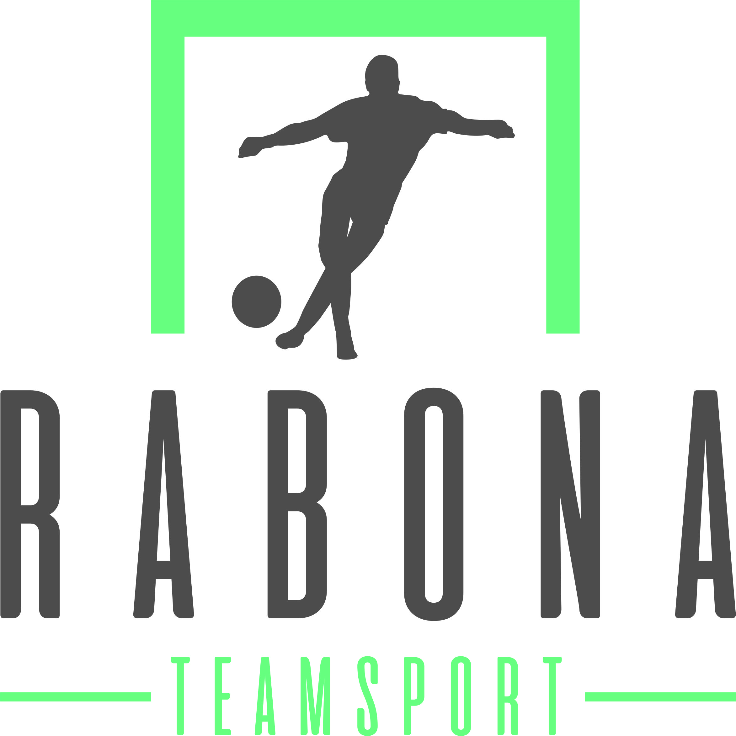 VfL Emslage Logo 2