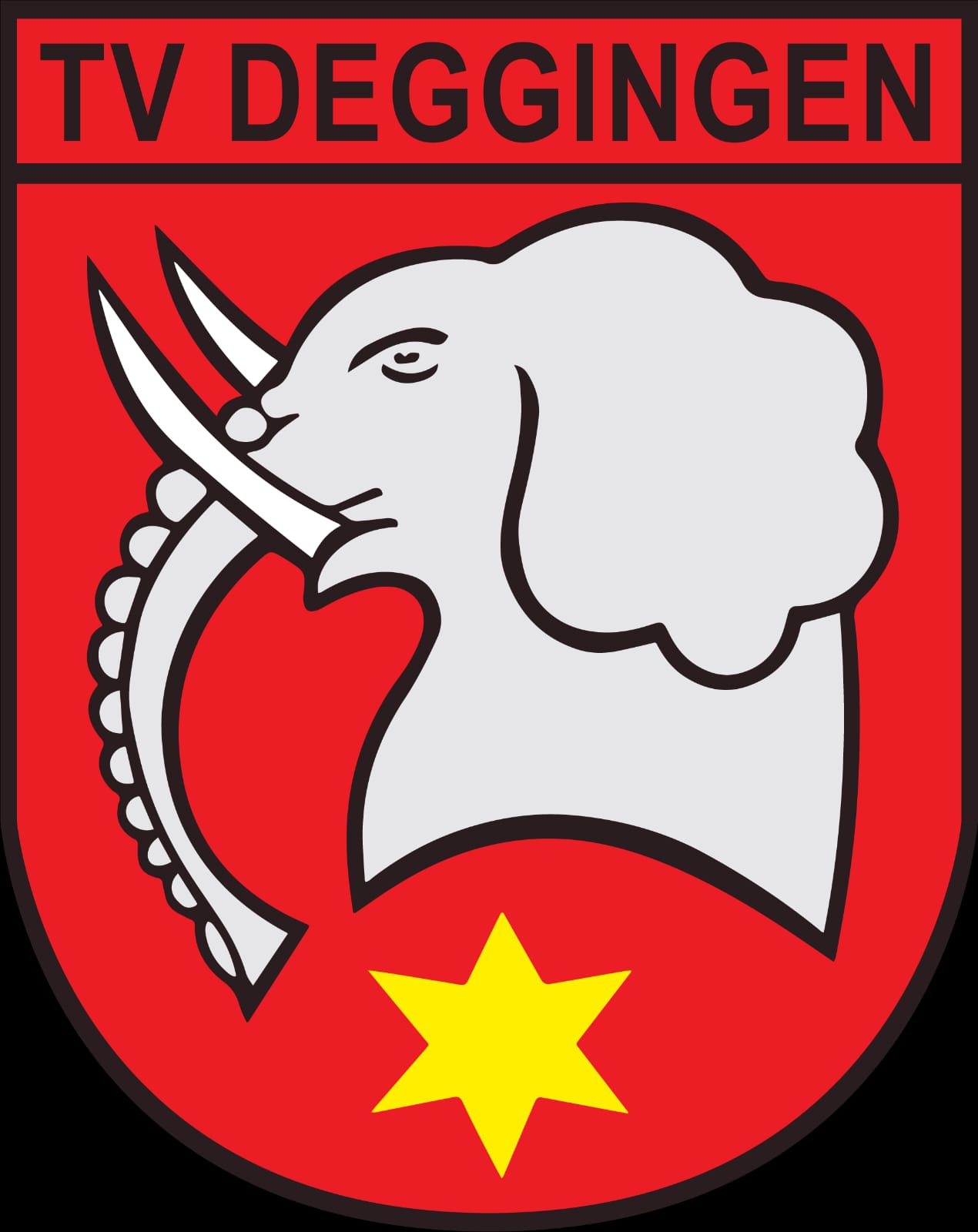 TV Deggingen Fussball Mitglied Logo