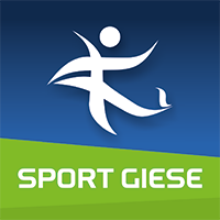 Eifeler Stäänefleejer Logo 2