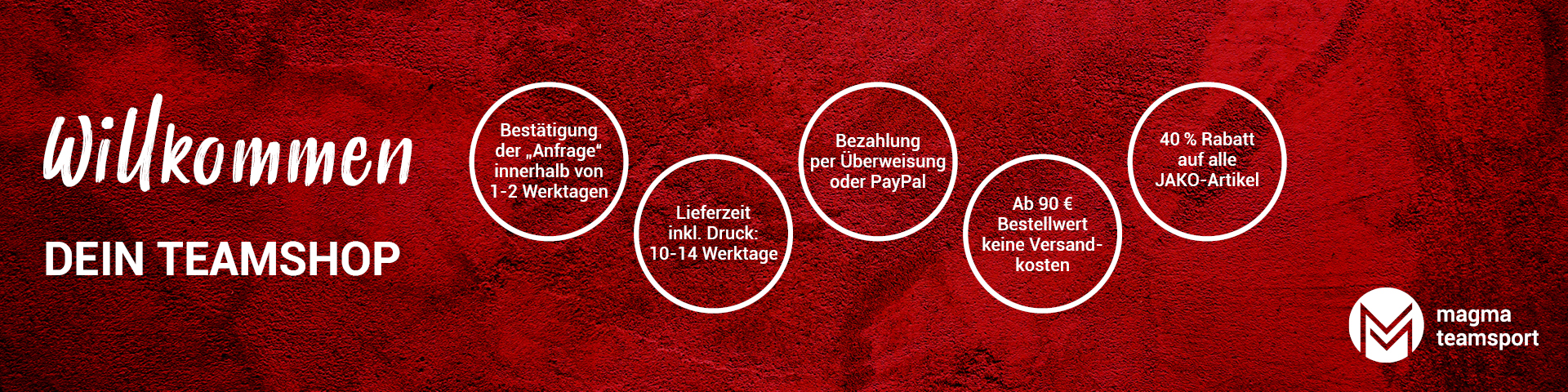 SV Amendingen Fussball Title Image