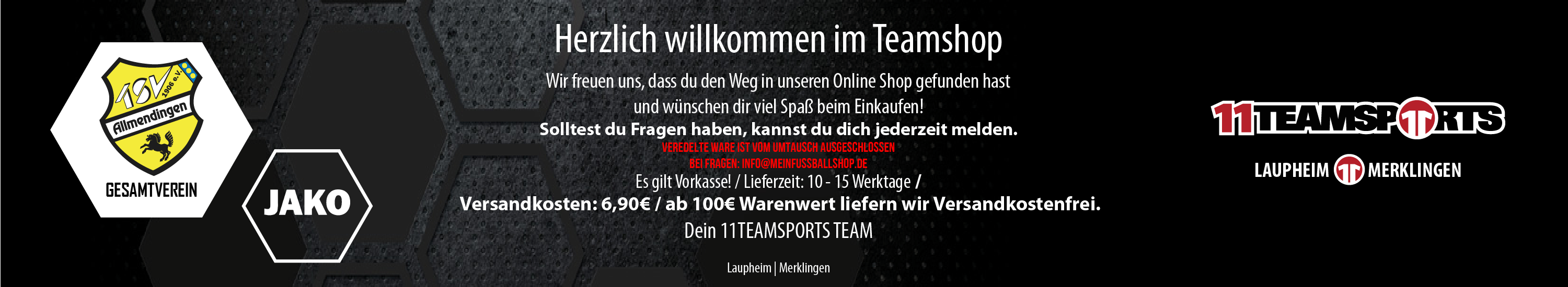 TSV Allmendingen Gesamtverein Title Image