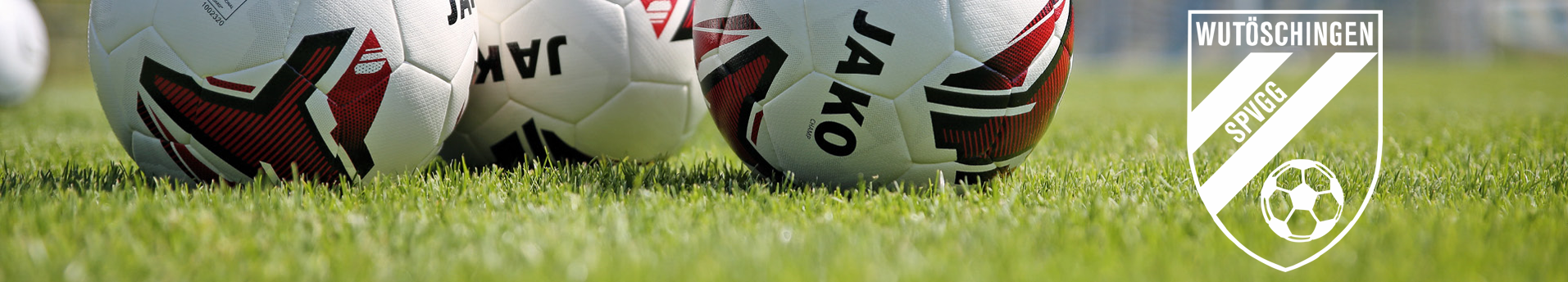 SPVGG Wutöschingen Title Image