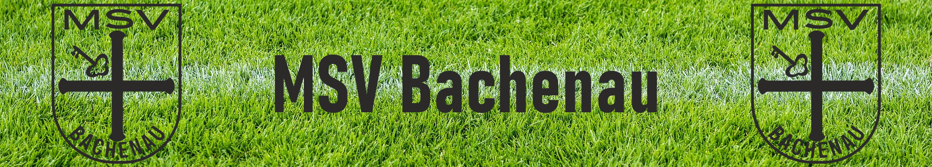 MSV Bachenau Title Image