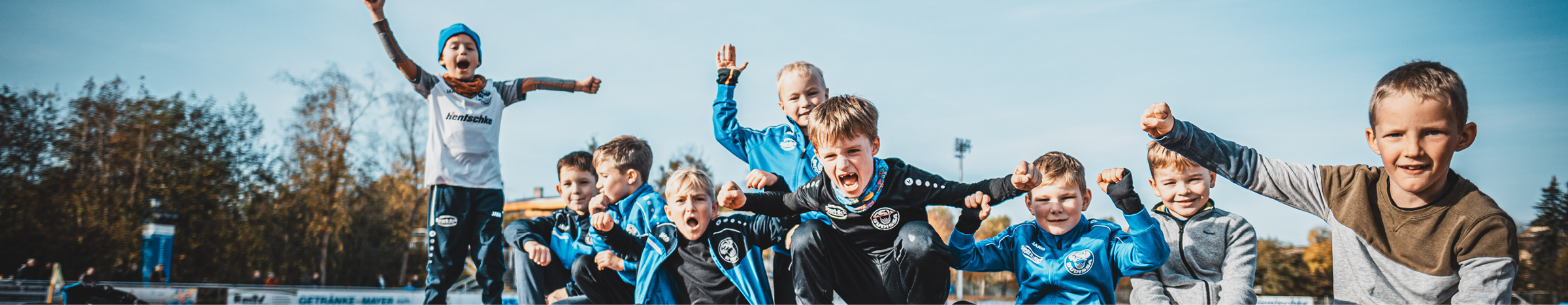 FSV Budissa Bautzen Title Image