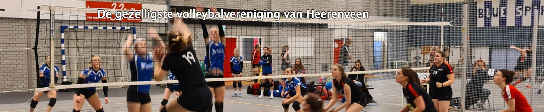 Hevoc Volleybal Heerenveen Title Image