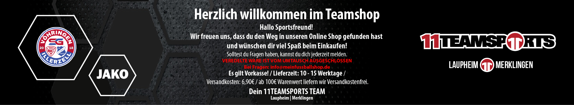 SG Vöhringen Illerzell Aktive + AH Title Image