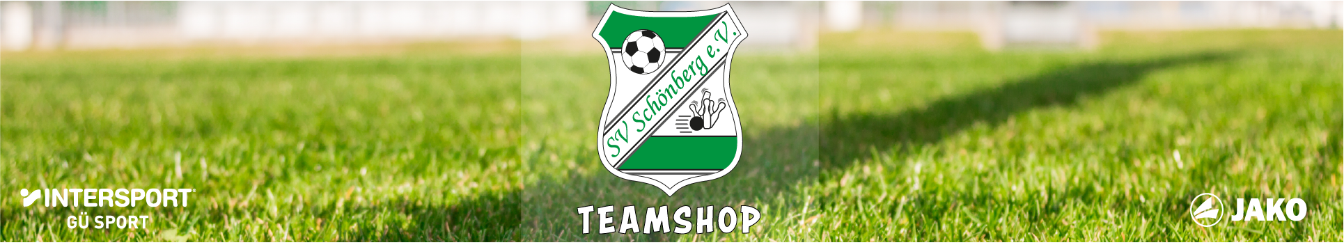 SV Schönberg Title Image