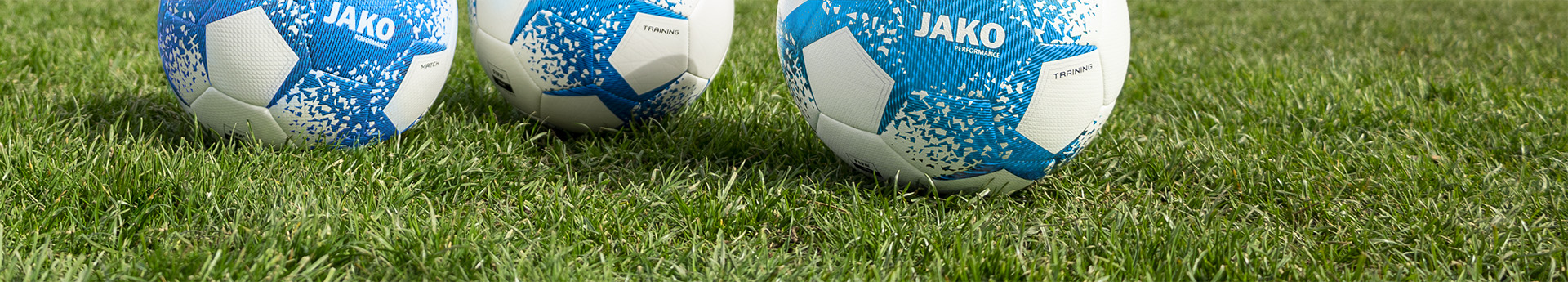 SV Muenchen-Laim Title Image