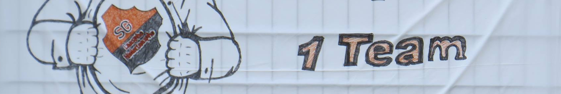 SG Laasphe/Niederlaasphe Title Image