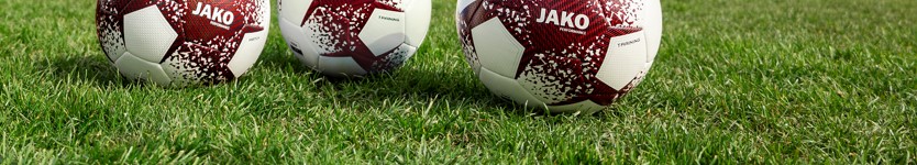 1. FC Viersen 05 Title Image