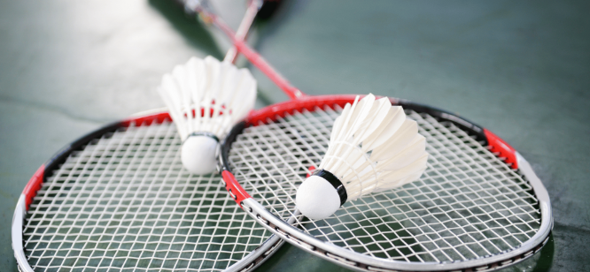 TSV Wernau Badminton Title Image