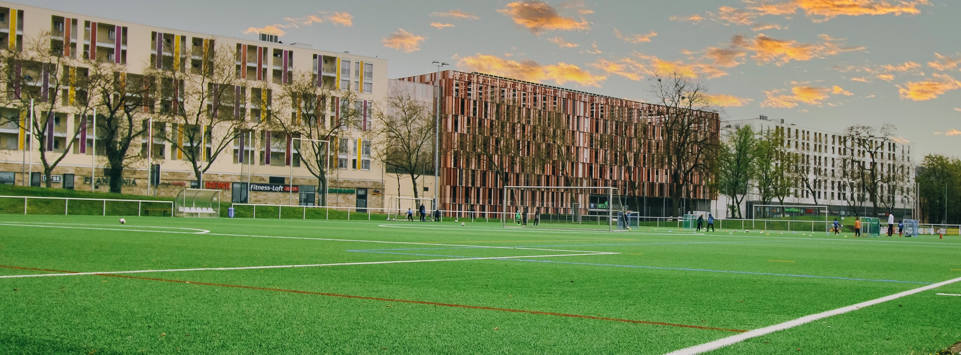 SFE Freiburg Title Image