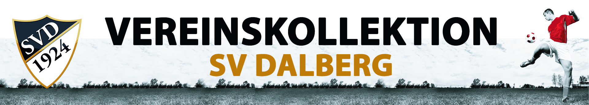 SV Dalberg Title Image