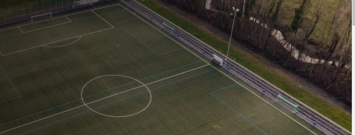 FV 1949 Delkenheim Title Image