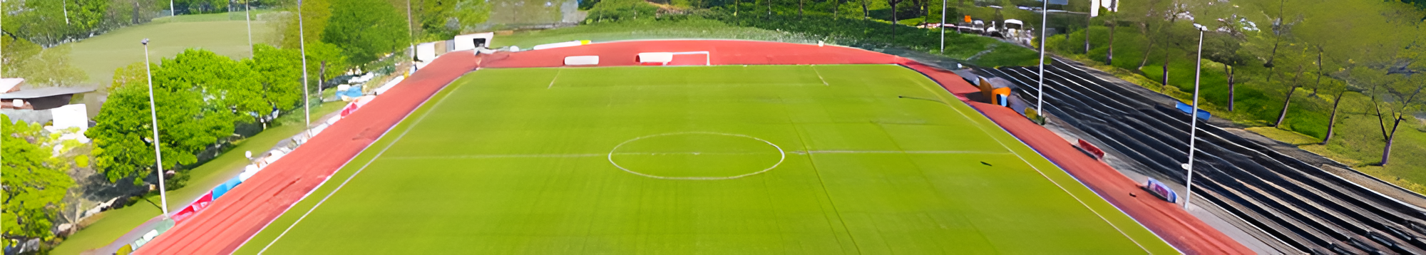 TSV 05 Reichenbach Title Image