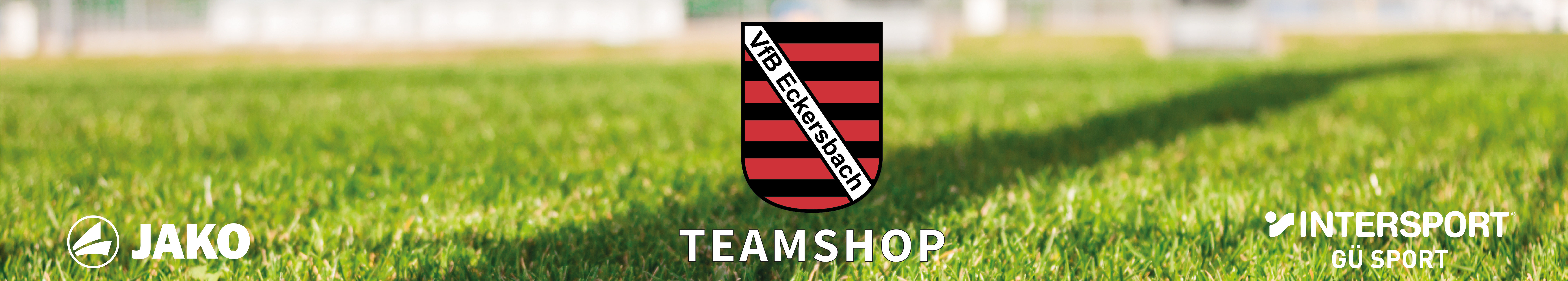 VfB Eckersbach Title Image