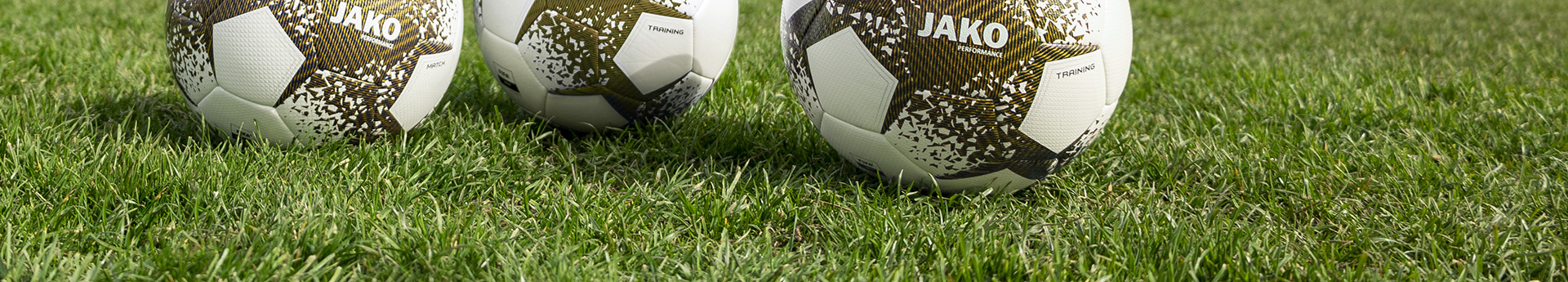 SV Heilbronn am Leinbach 1891 E.V.Abt Fussball Title Image