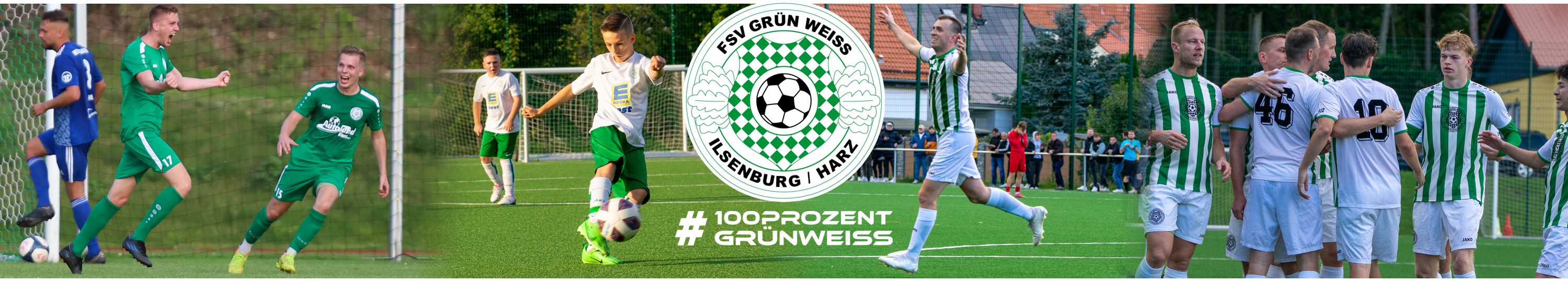 FSV Grün-Weiß Ilsenburg Title Image