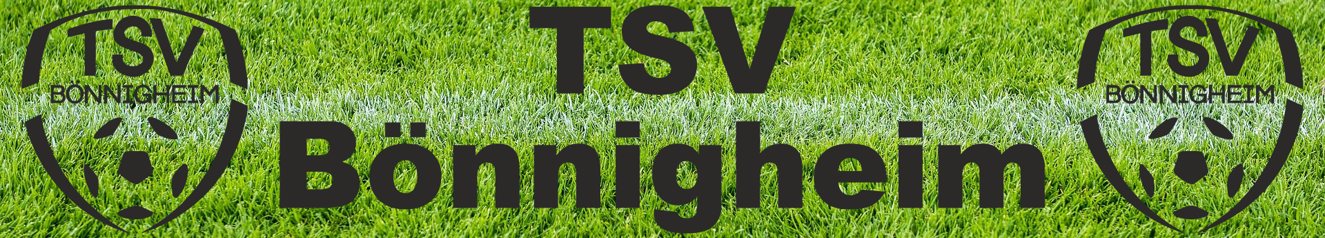 TSV Bönnigheim Title Image