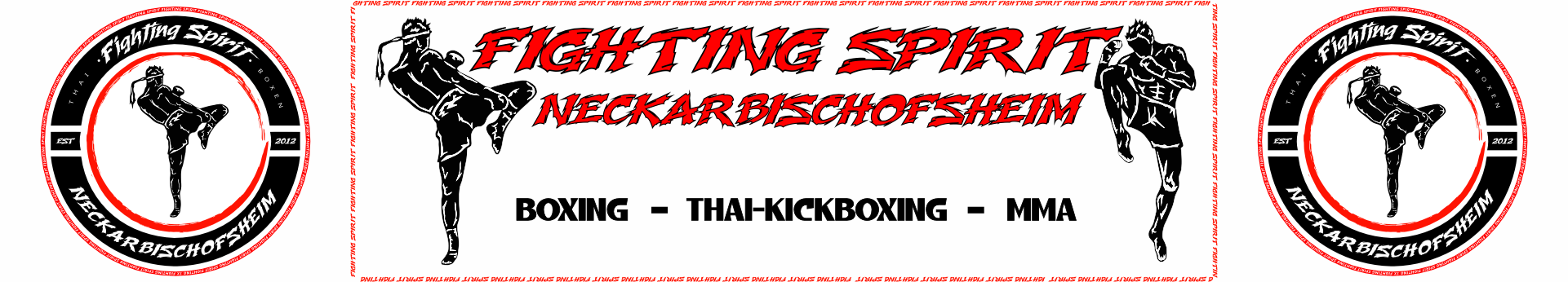 Fighting Spirit Neckarbischofsheim e.V. Title Image