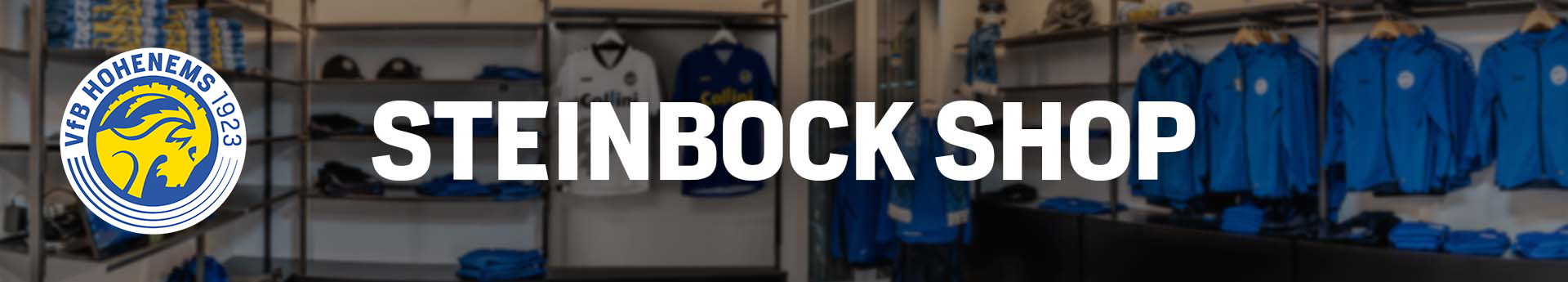 VfB Hohenems Title Image