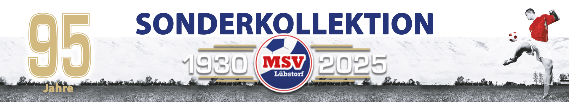 MSV Lübstorf 95 Jahre Title Image