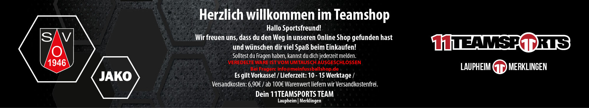 SV Offenhausen 1946 Title Image