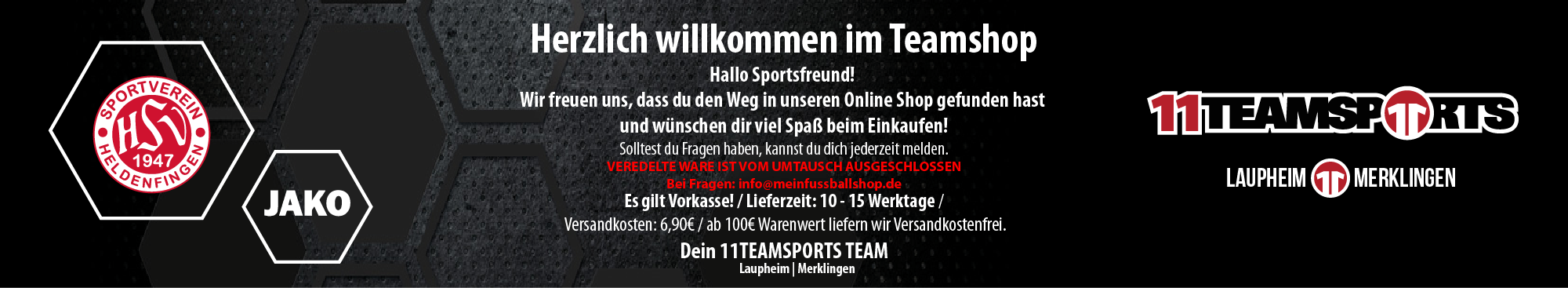 SV Heldenfingen Title Image