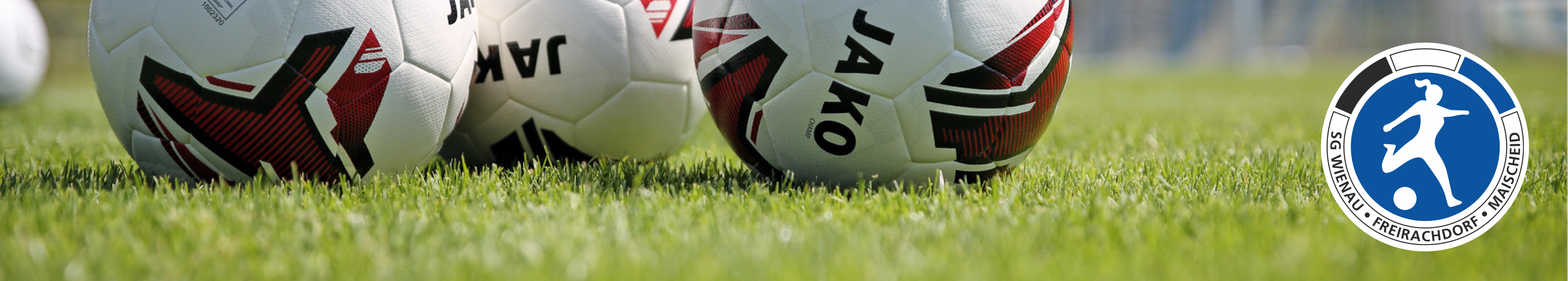 SV Wienau 1923 Title Image