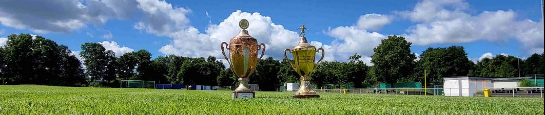 SF 03 PASING Title Image