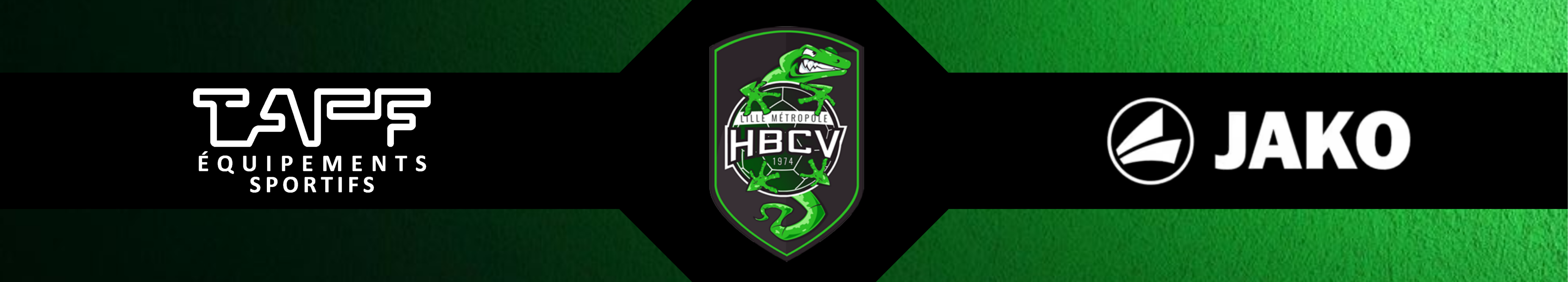 Lille Métropole Handball Club Villeneuve dAscq Title Image