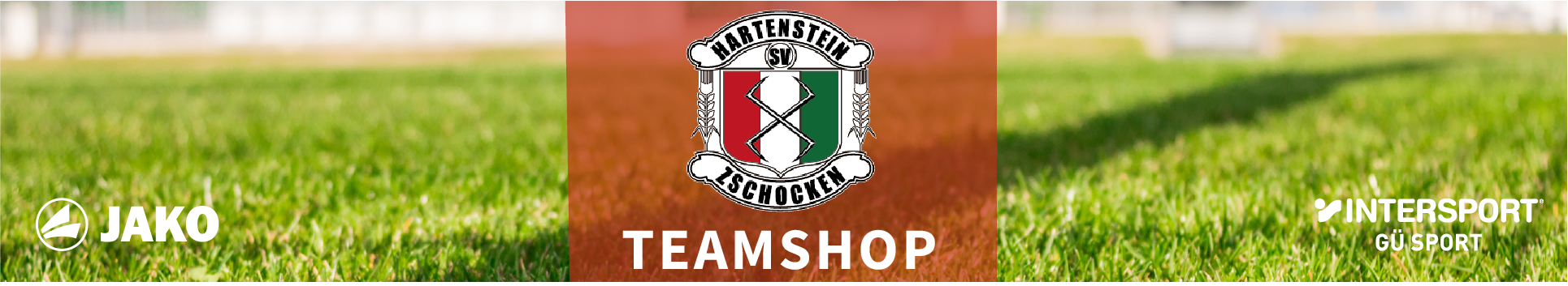 SV Hartenstein-Zschocken Title Image