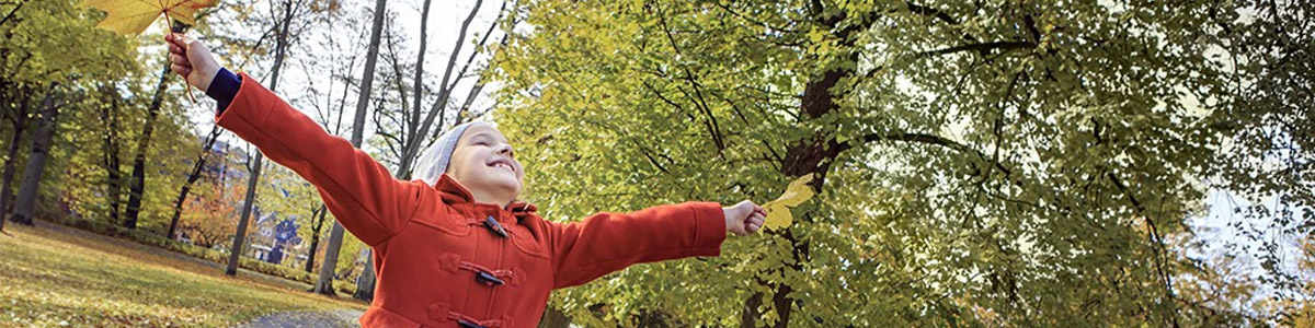 Finanzberatung Longhitano Title Image