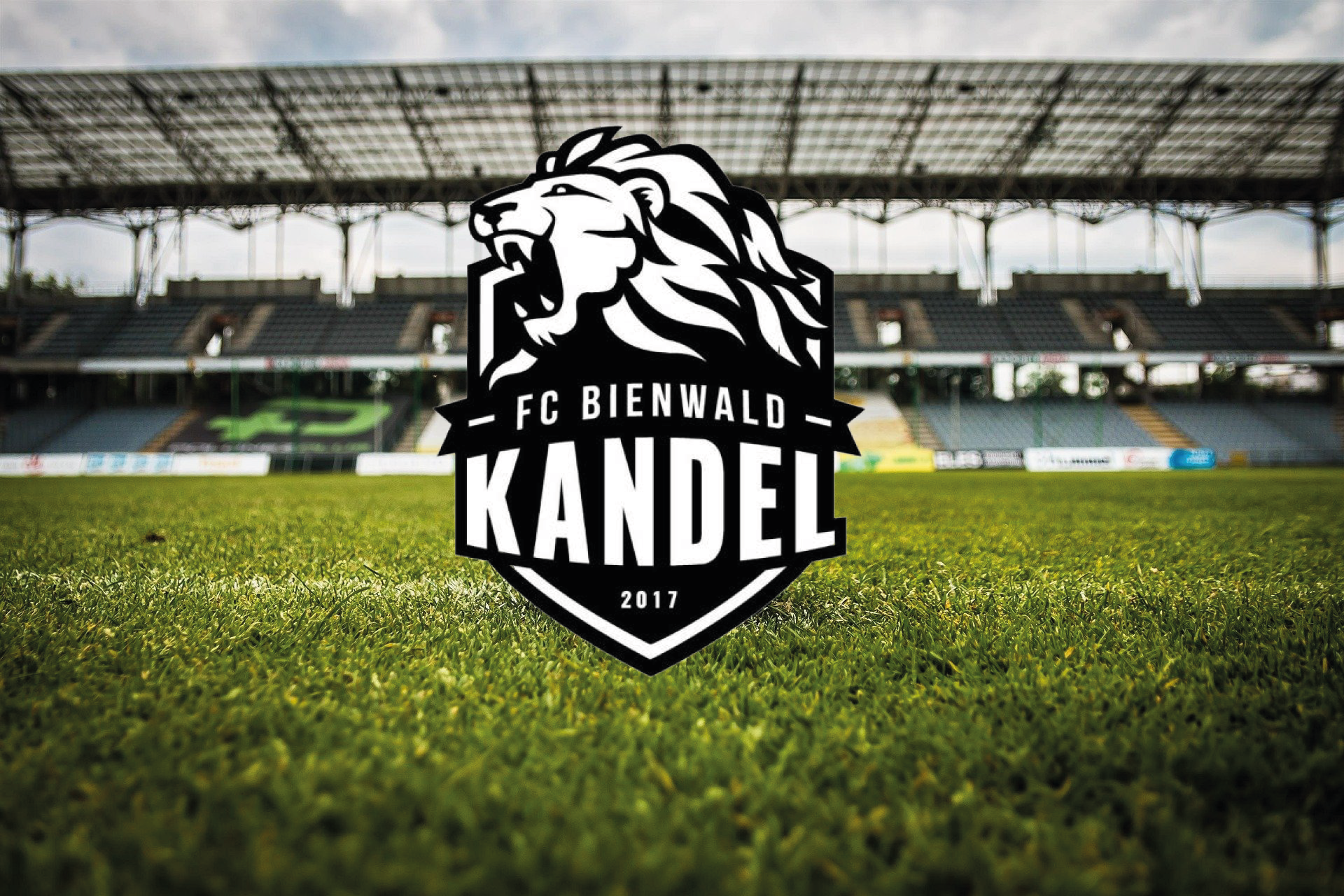 FC BIENWALD KANDEL - JUGEND Title Image
