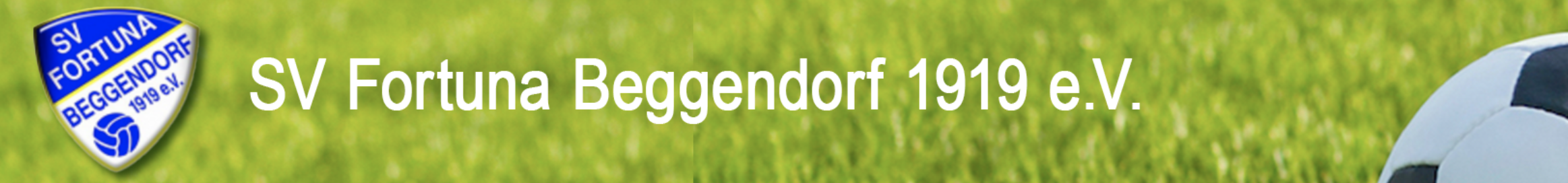SV Fortuna Beggendorf Title Image