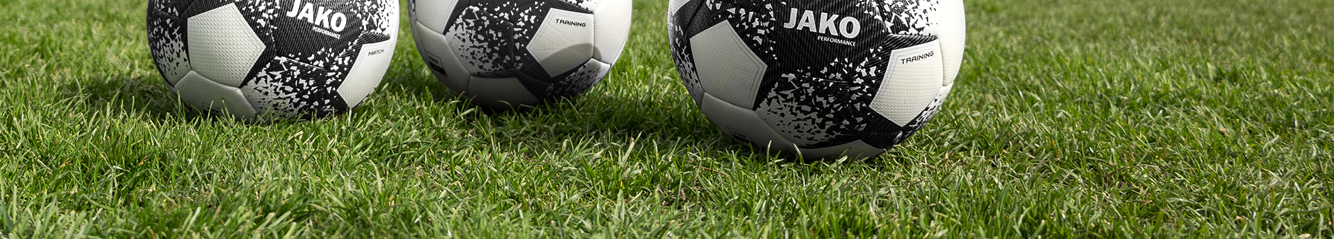 SV Thülen 1920 e.V. Title Image