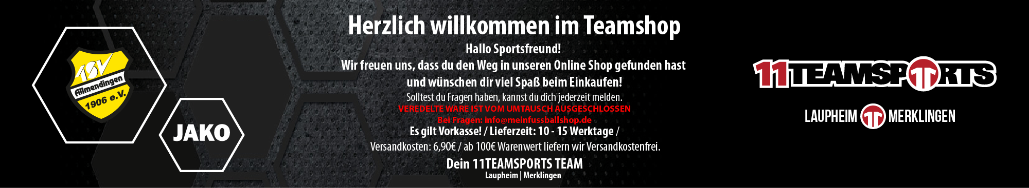 TSV Allmendingen 1906 e.V. Title Image