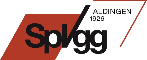 SpVgg Aldingen Title Image