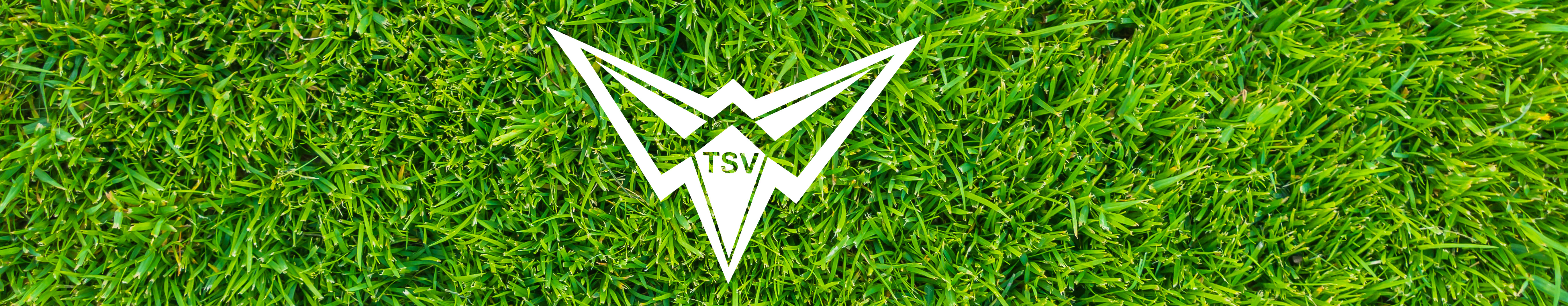 TSV Wittlingen Title Image