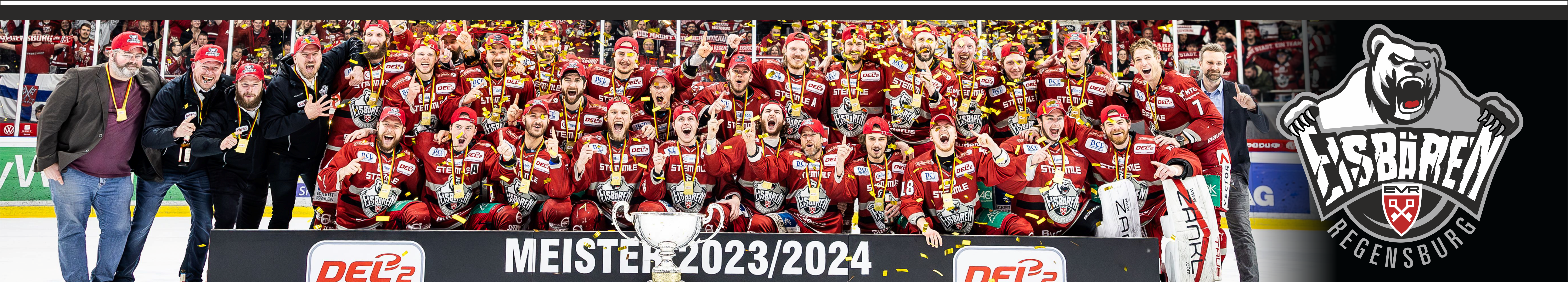 Eisbären Regensburg Title Image