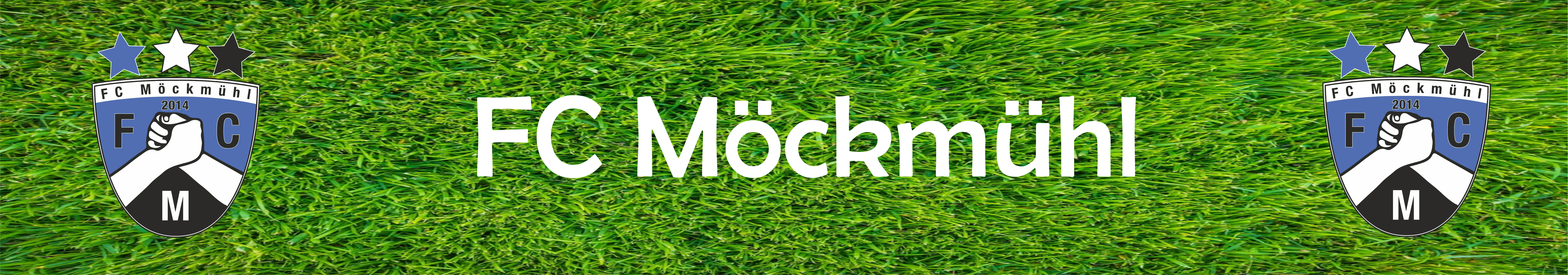 FC Möckmühl 2014 Title Image