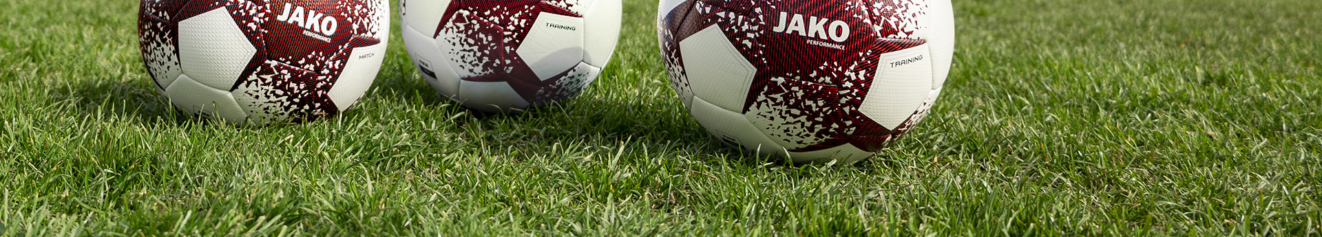 FC Neuried Title Image