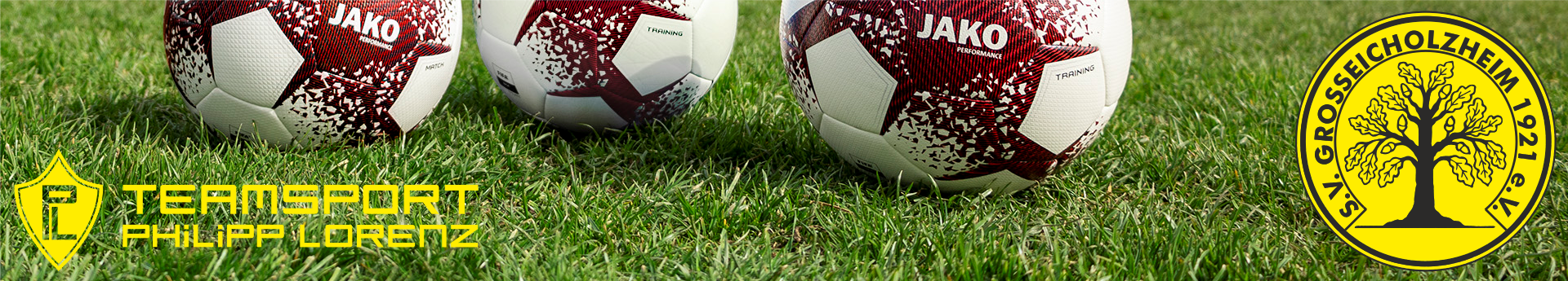 SV Großeicholzheim e.V. Title Image
