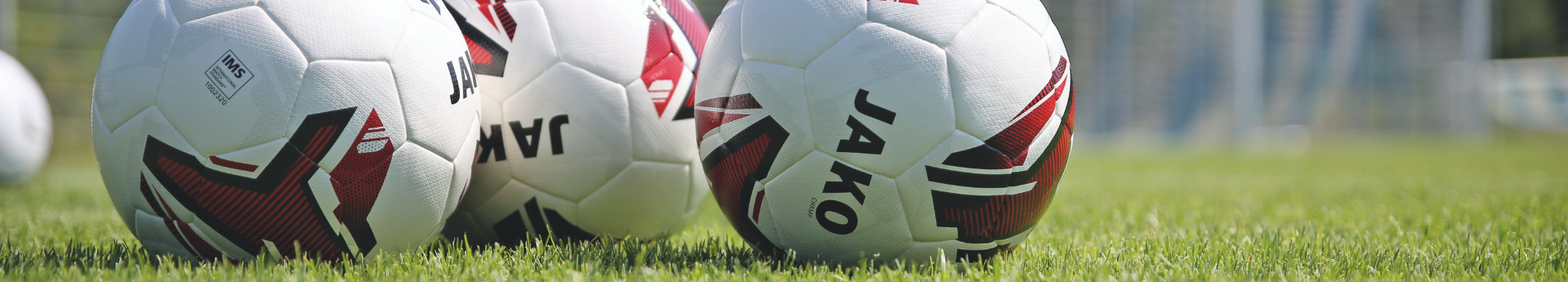 St. Galler Kantonal Fussballverband Title Image