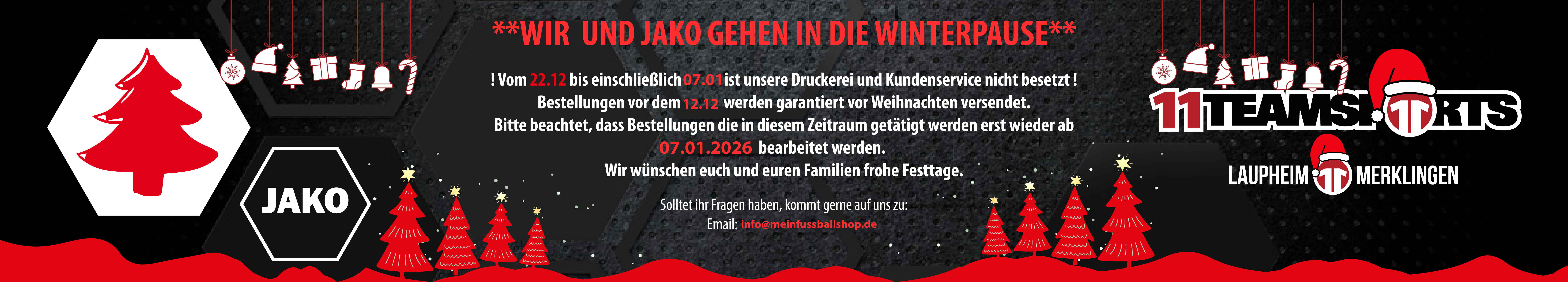 SG Sießen/Wain Title Image