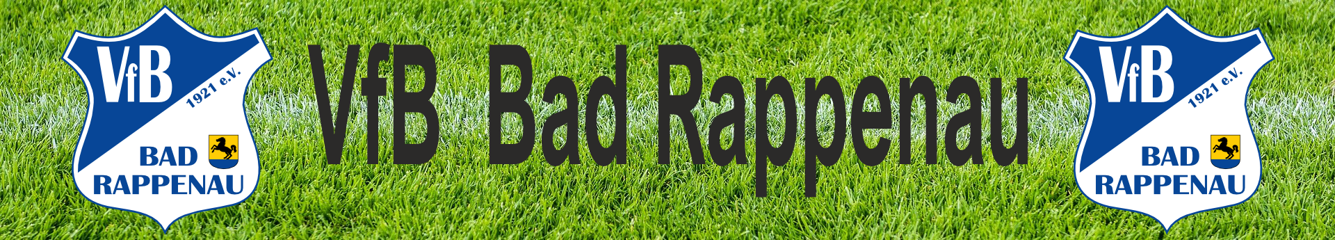 VfB Bad Rappenau Title Image