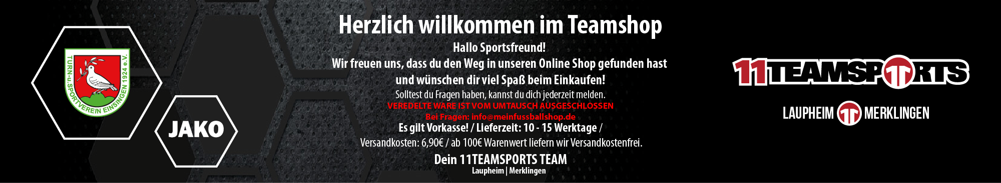 TSV Einsingen Title Image