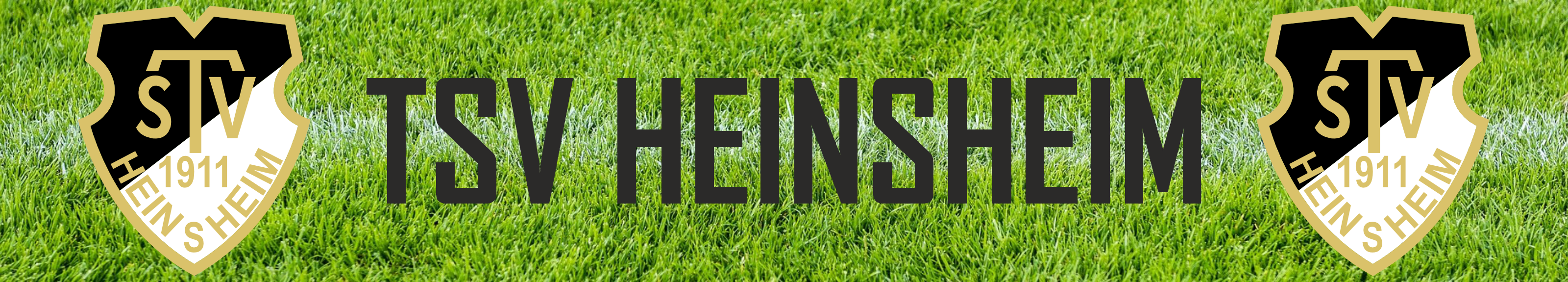 TSV Heinsheim Fussball Title Image