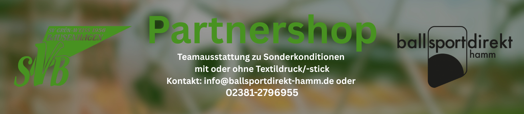 SV Bausenhagen e.V. Title Image